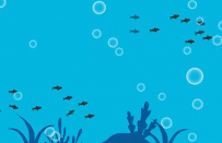 AE 保护海洋 300动画币