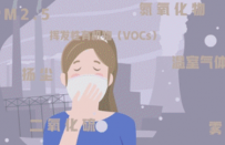 AN/FLASH 环境污染 66秒 300动画币