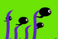 AN/FLASH 蝌蚪 10动画币