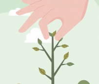 AN/FLASH 栽树 100动画币