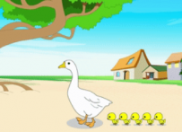 AN/FLASH 农村 10秒 50动画币