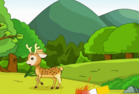 AN/FLASH 森林防火 100动画币