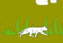 AN/FLASH源文件 猫走路动画 50动画币