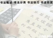 AN/FLASH源文件 【二级菜单交互实例6】50动画币